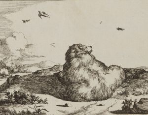 Bär auf Hügel