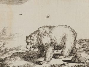 Bär in Landschaft