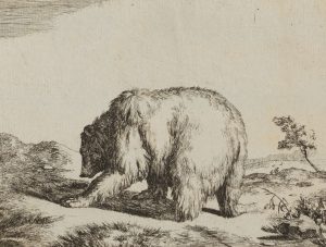 Bär in der Landschaft