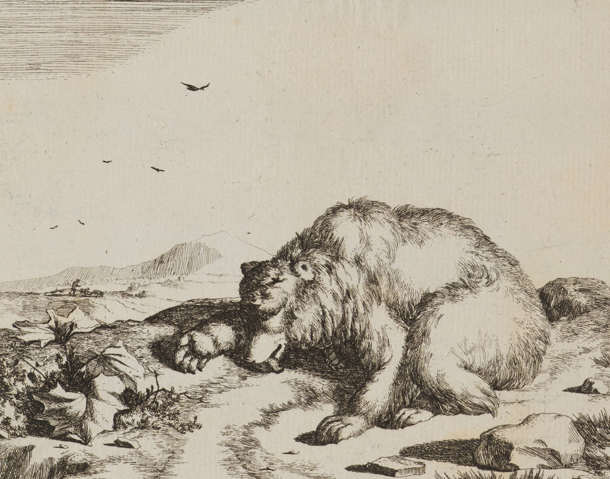 Bär in der Landschaft