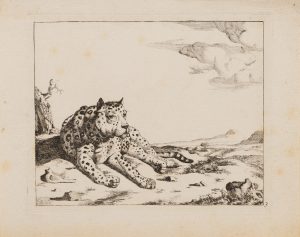 Liegender Leopard
