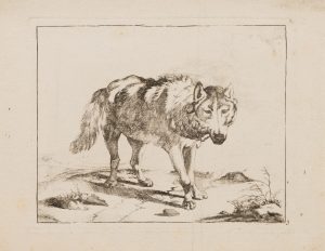 Wolf in Bewegung
