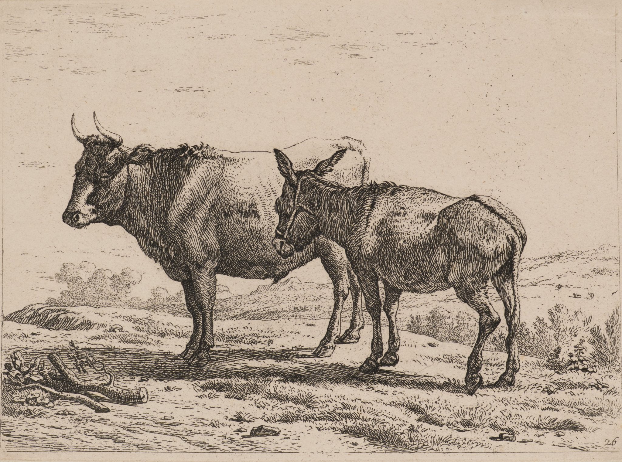 Kuh und Esel auf Weide