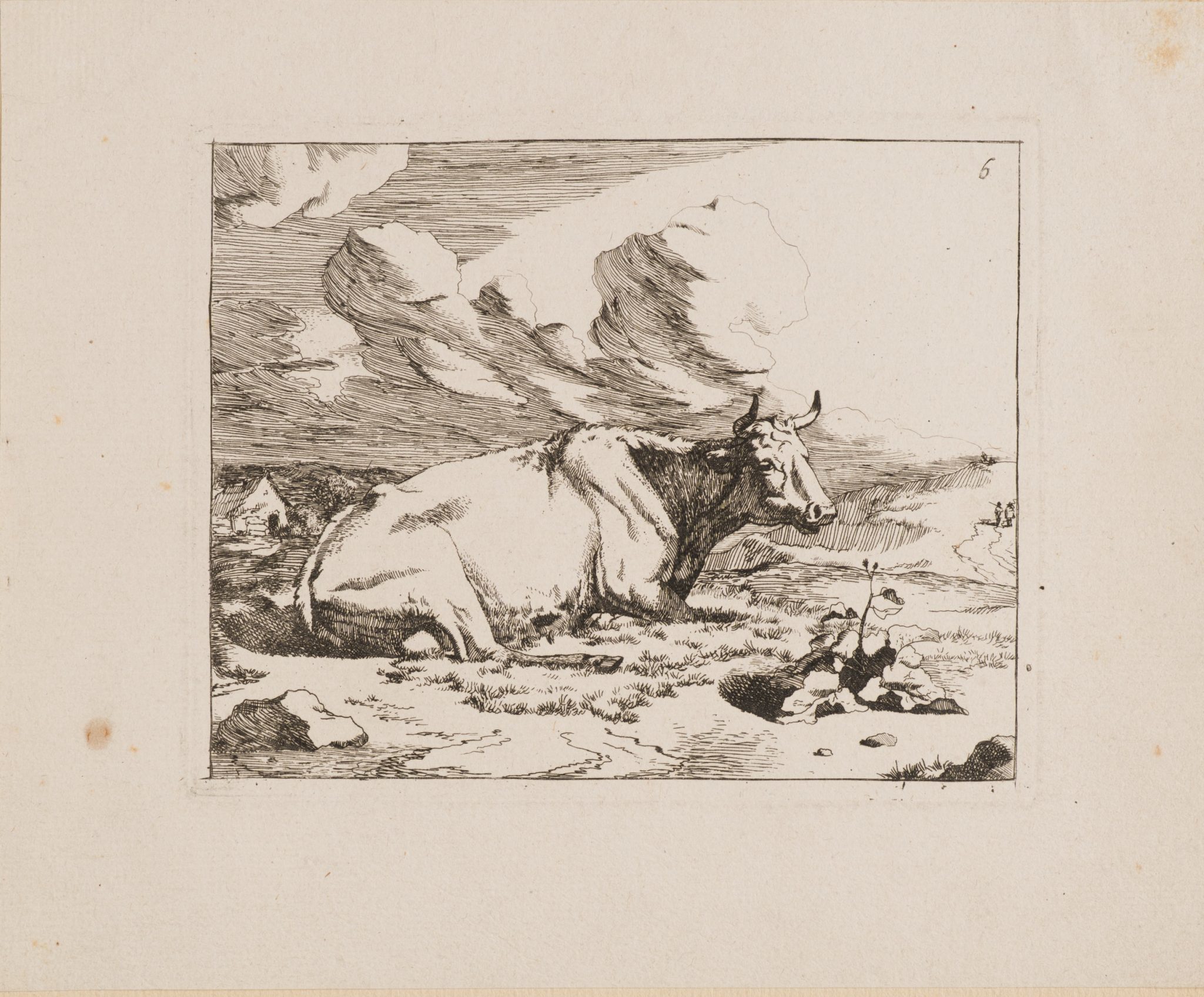 Kuh in ländlicher Landschaft