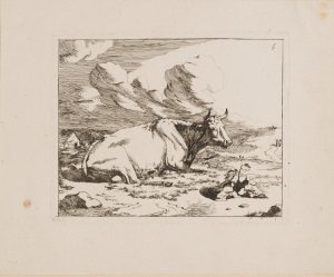 Kuh in ländlicher Landschaft