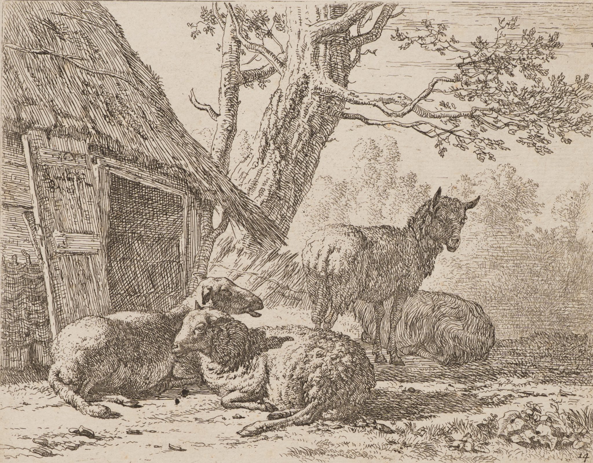 Schafe vor Hütte