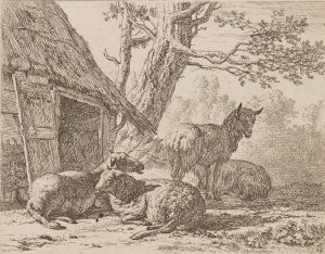 Schafe vor Hütte