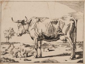 Kuh in ländlicher Landschaft