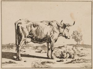Kuh in ländlicher Landschaft