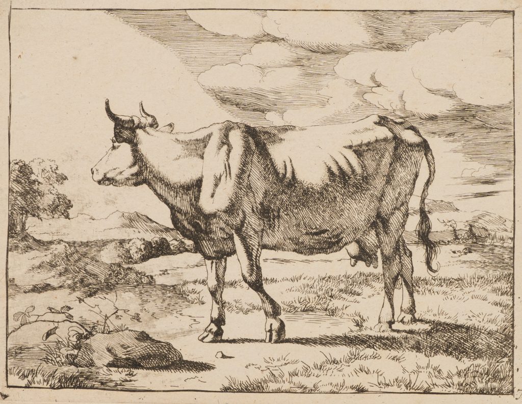 Werk von Paulus Potter