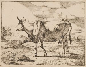 Kuh in der Landschaft
