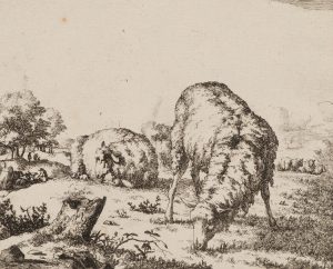 Schafe auf der Weide