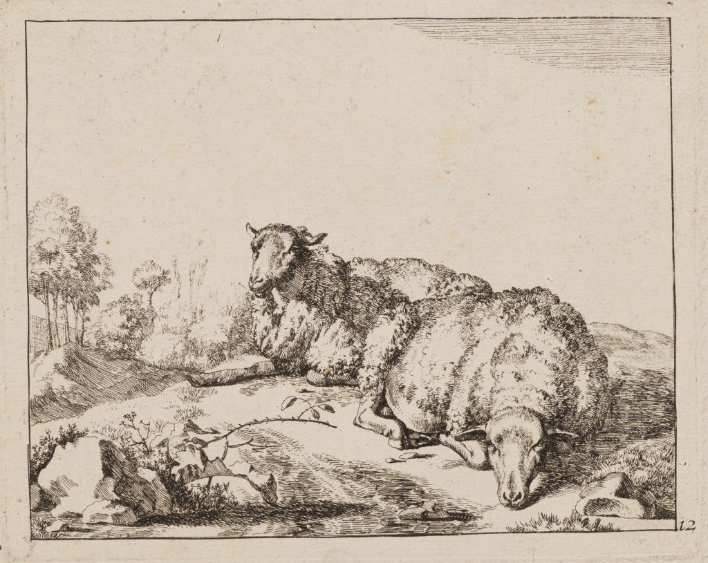 Werk von Marcus de Bye