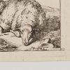Ansicht 5