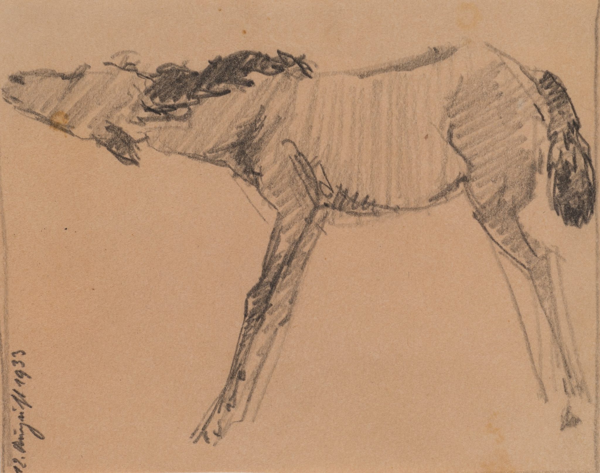 Pferdestudie 1933