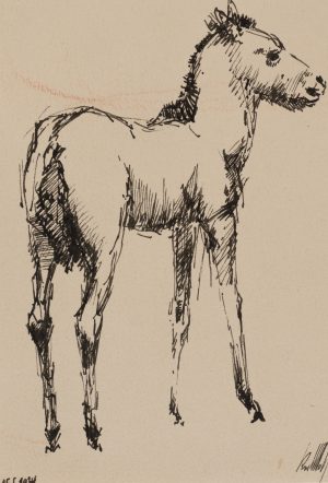 Junges Pferd