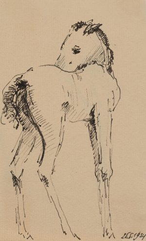 Fohlenstudie