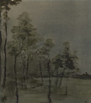 Waldlandschaft