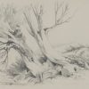 Ansicht 3