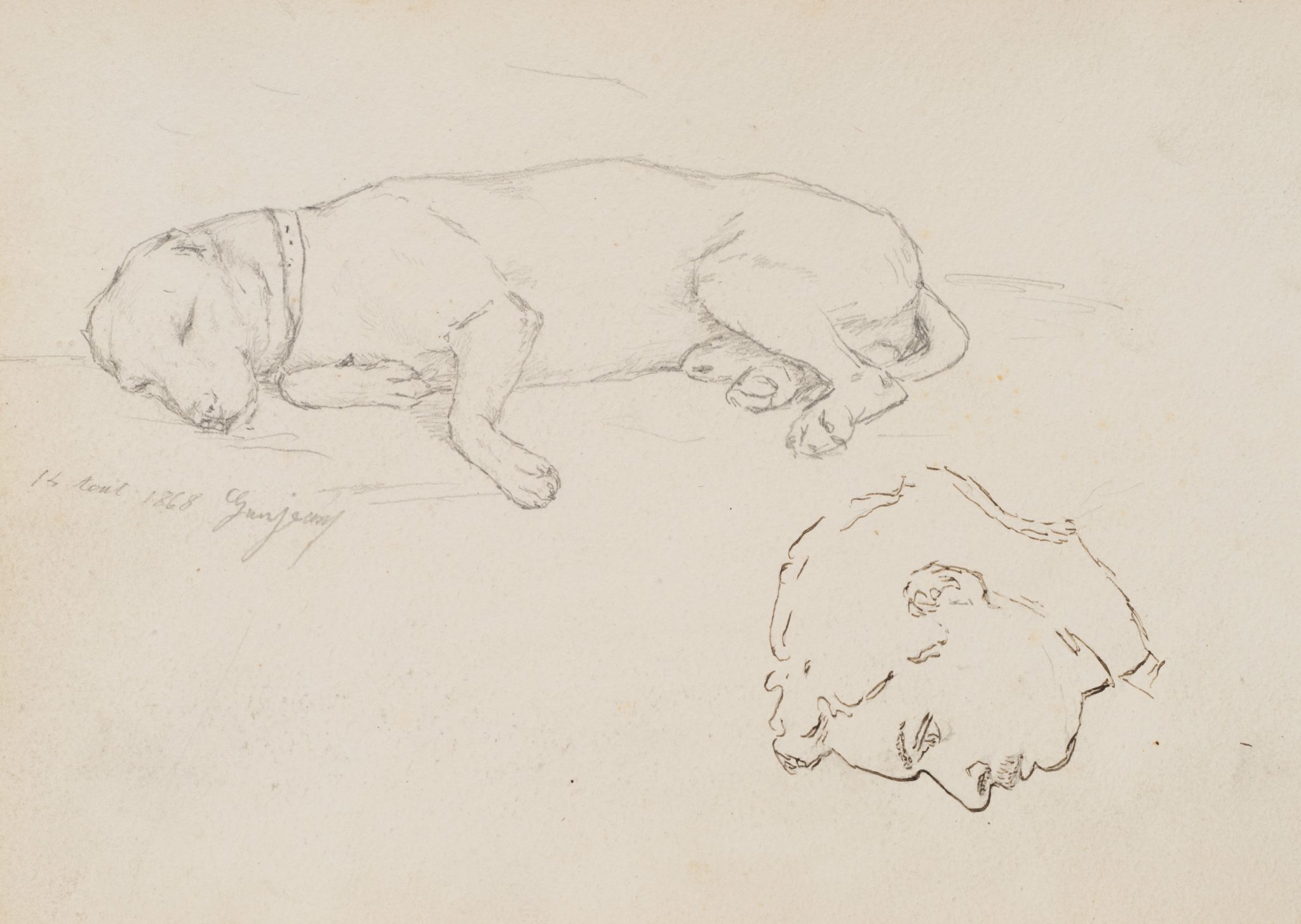 Schlafender Hund mit Kopfstudie