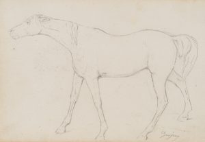 Pferdestudie, ganzfigurig