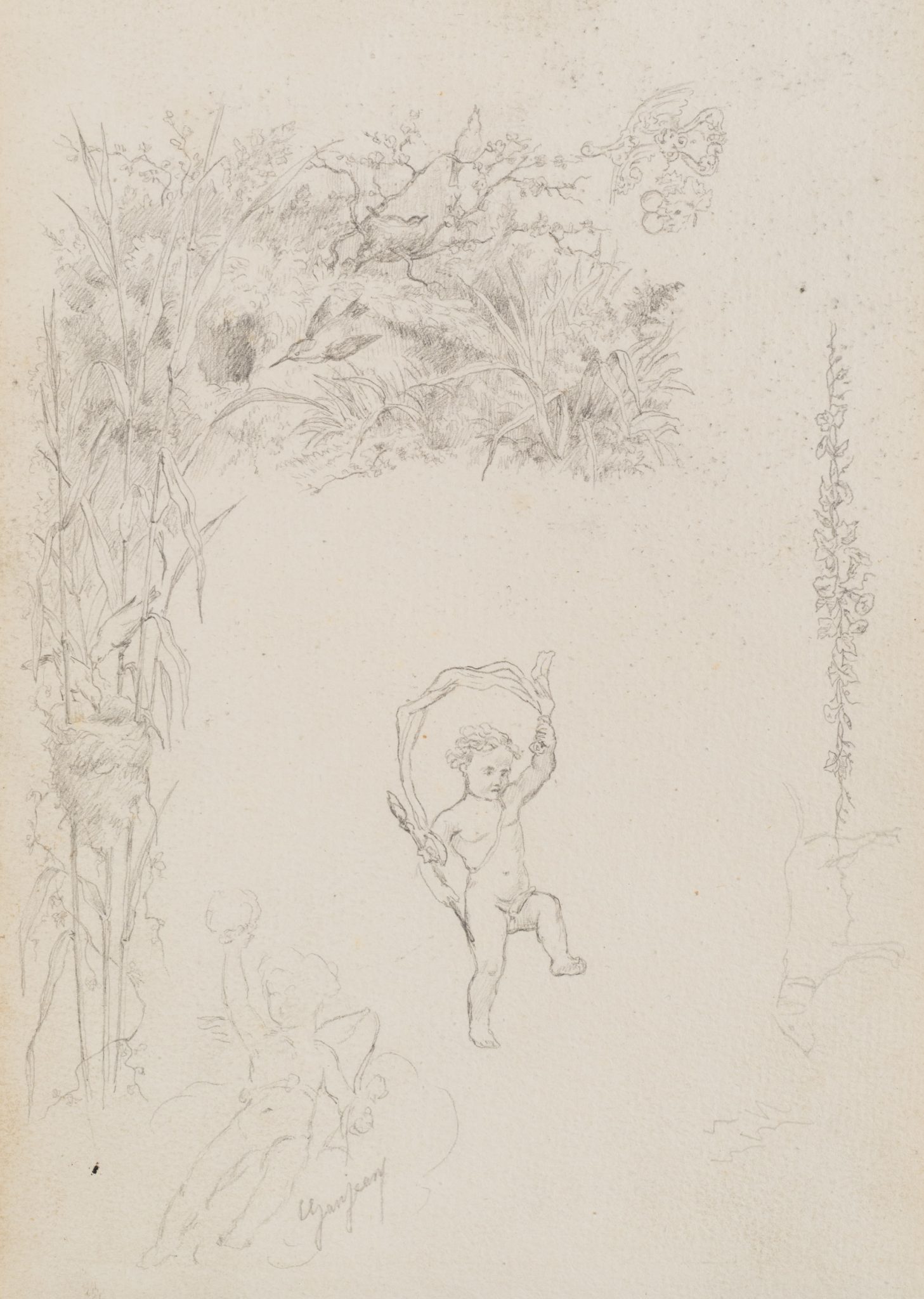 Studienblatt mit Putto und Pflanzen