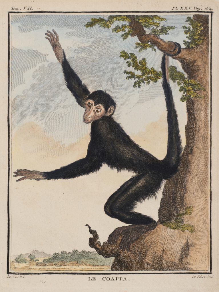 Werk von Carl de Fehrt