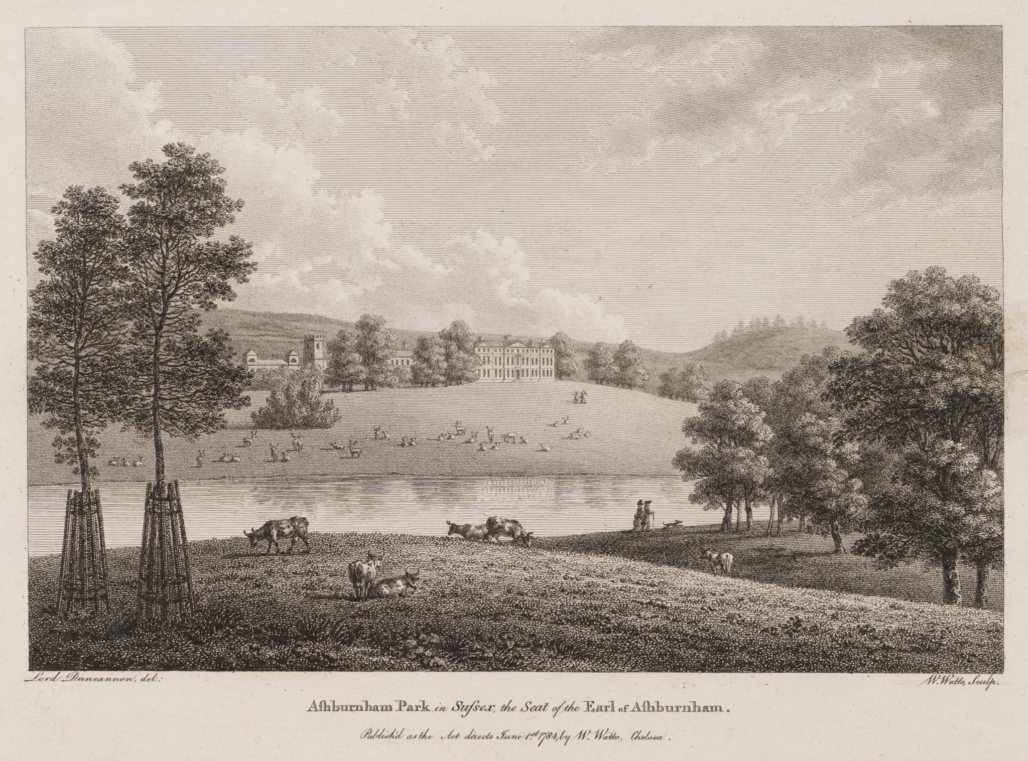 Ashburnham Park in Sussex
