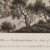 Ansicht 5