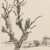 Ansicht 4