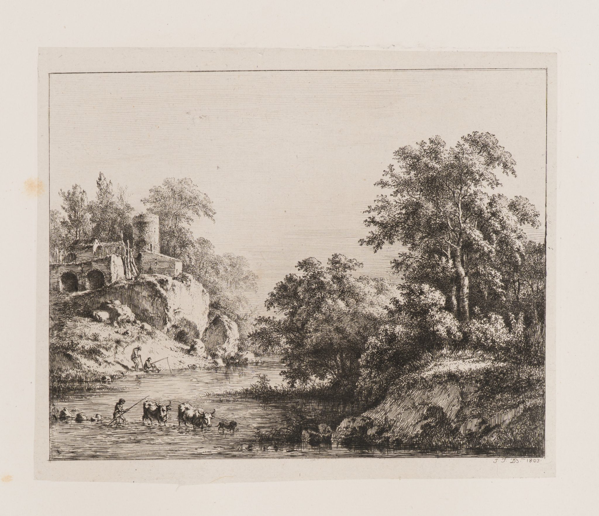 Flussquerung mit Rinderherde