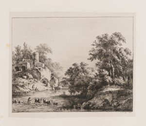 Flussquerung mit Rinderherde