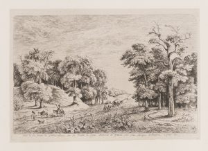 Straße nach Lyon am Wald von Fontainebleau