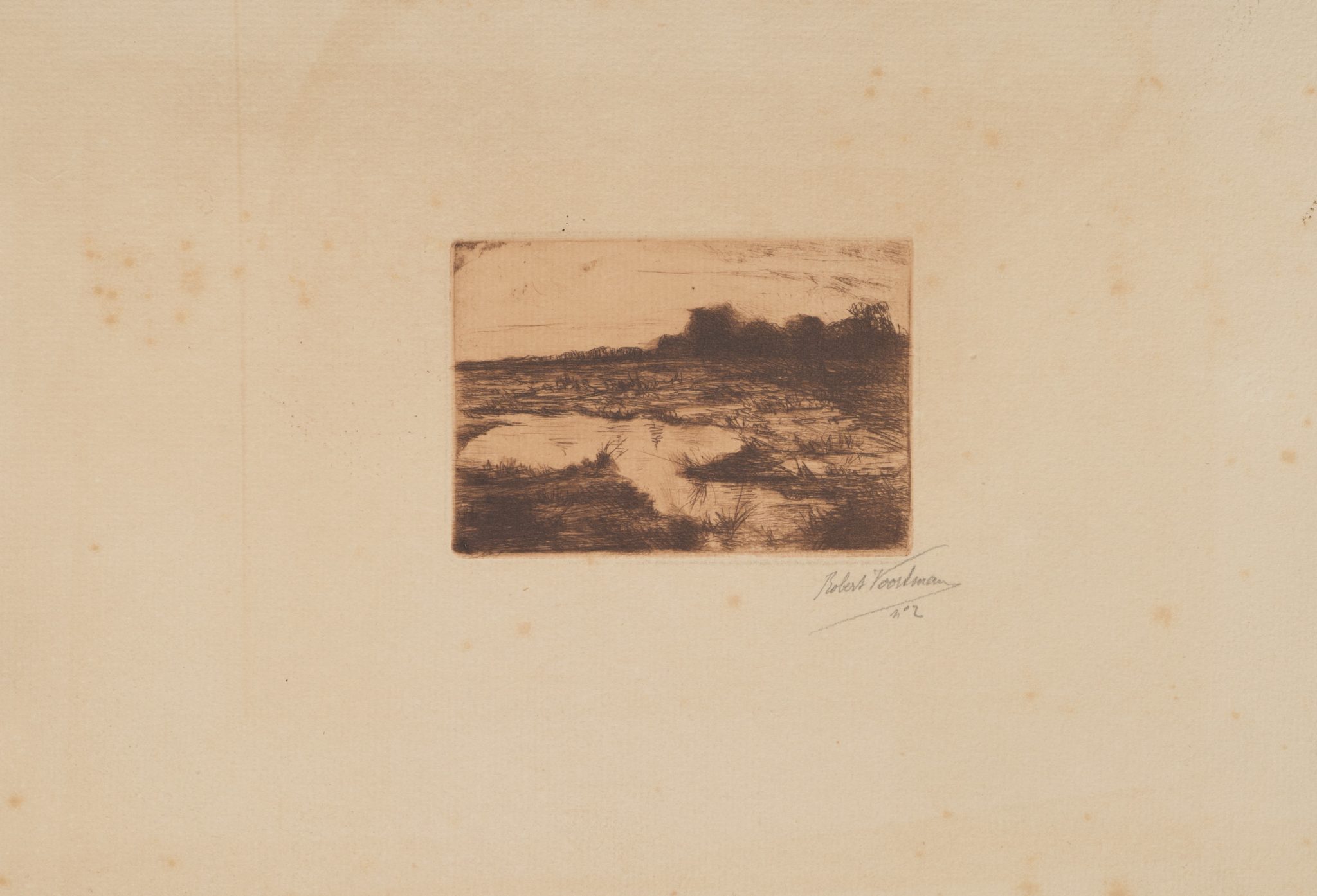 Moorlandschaft mit Wasserflächen
