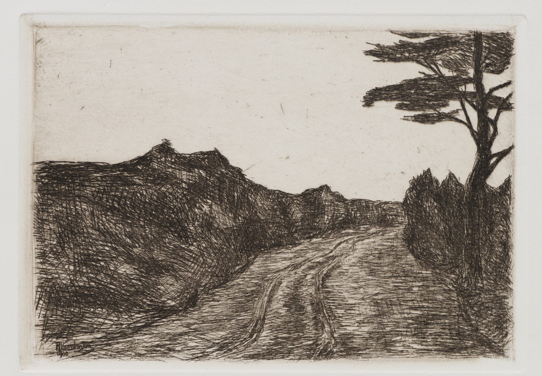 Landstraße mit Baum