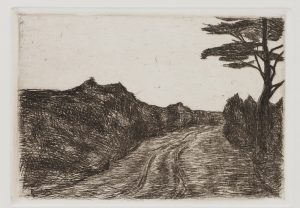 Landstraße mit Baum