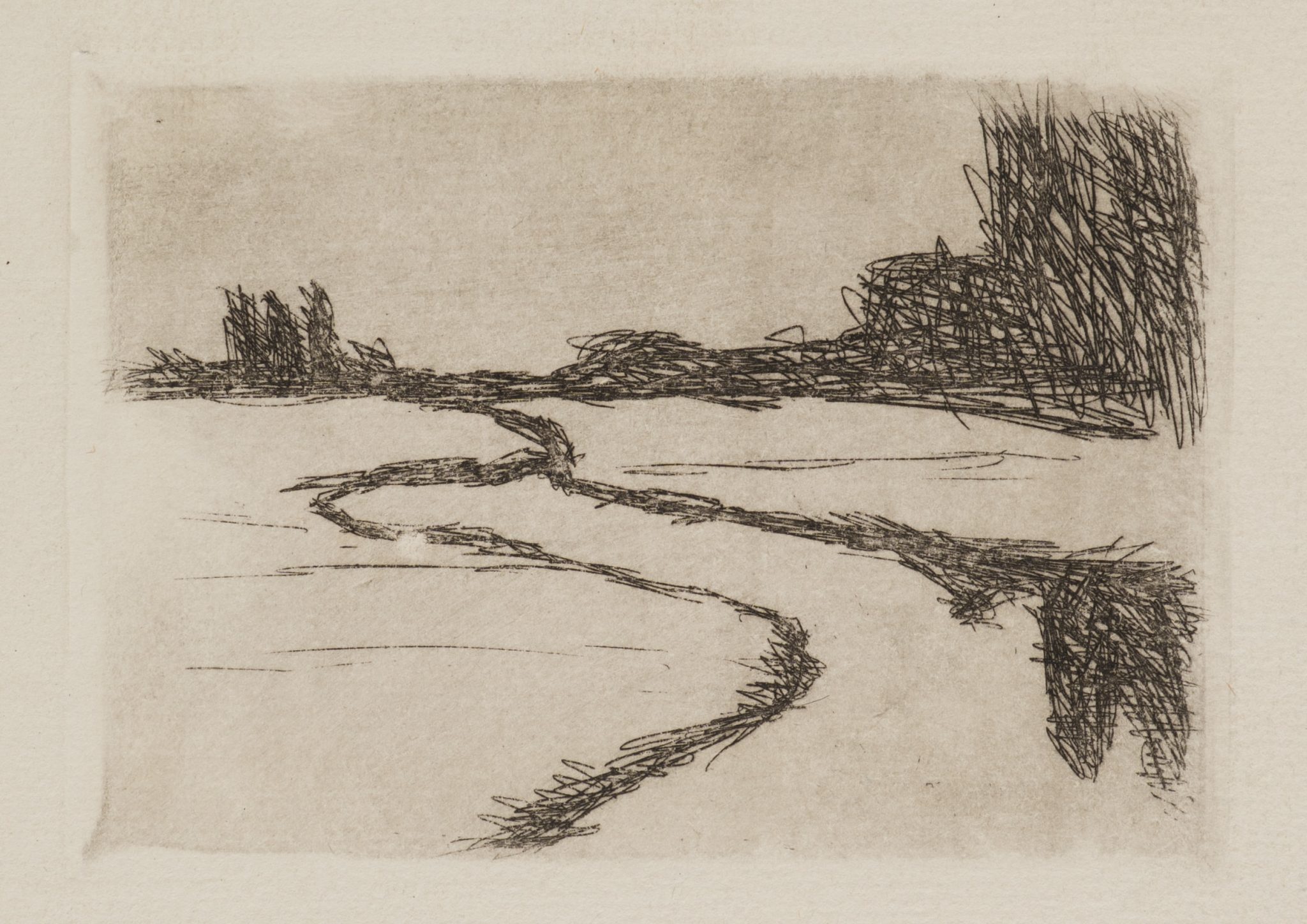 Landschaft mit Weg und Gebüsch