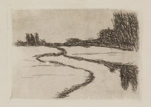 Landschaft mit Weg und Gebüsch