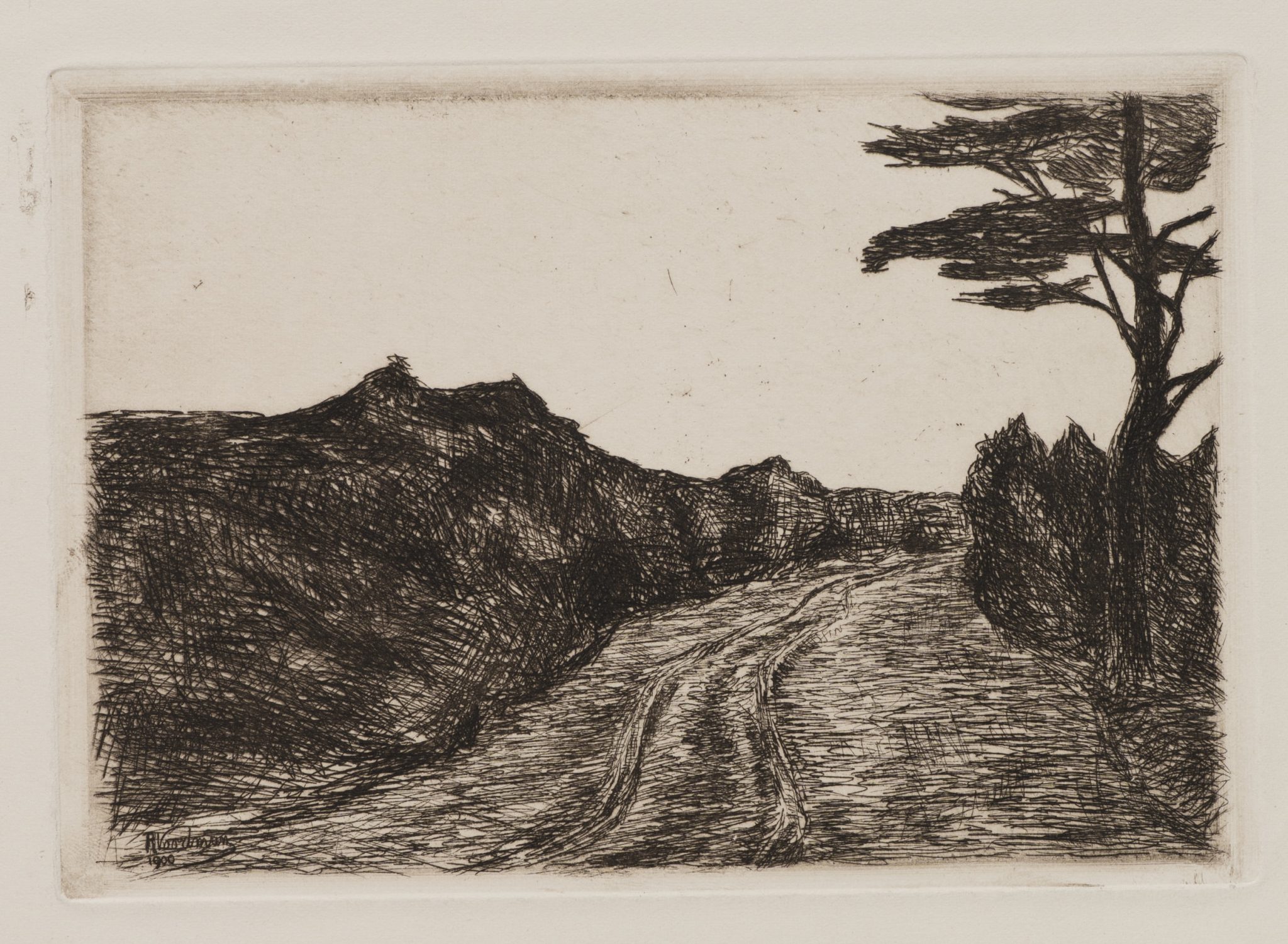 Landstraße mit Baum
