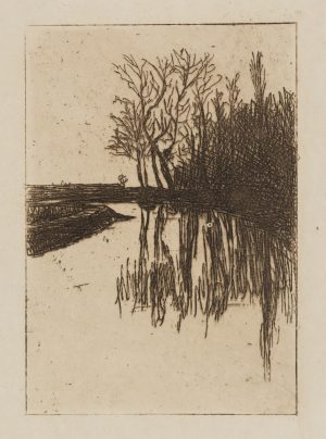 Bäume am stillen Wasser