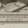 Ansicht 5