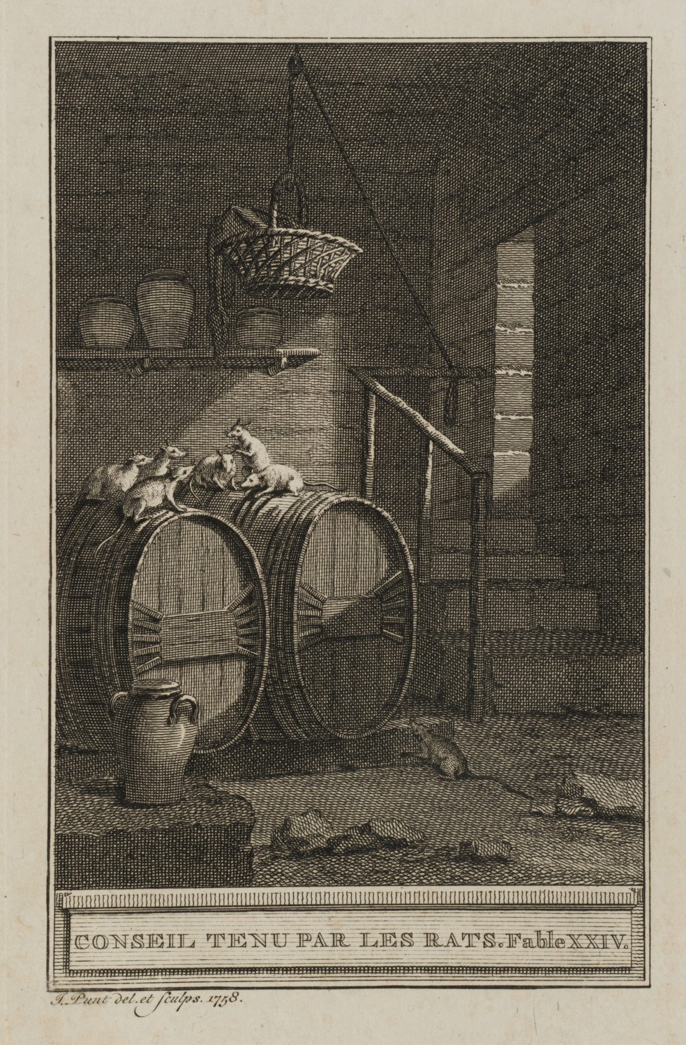Ratten im Keller