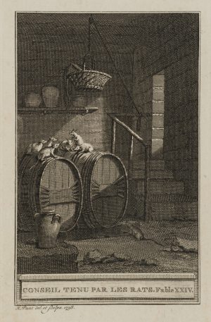 Ratten im Keller