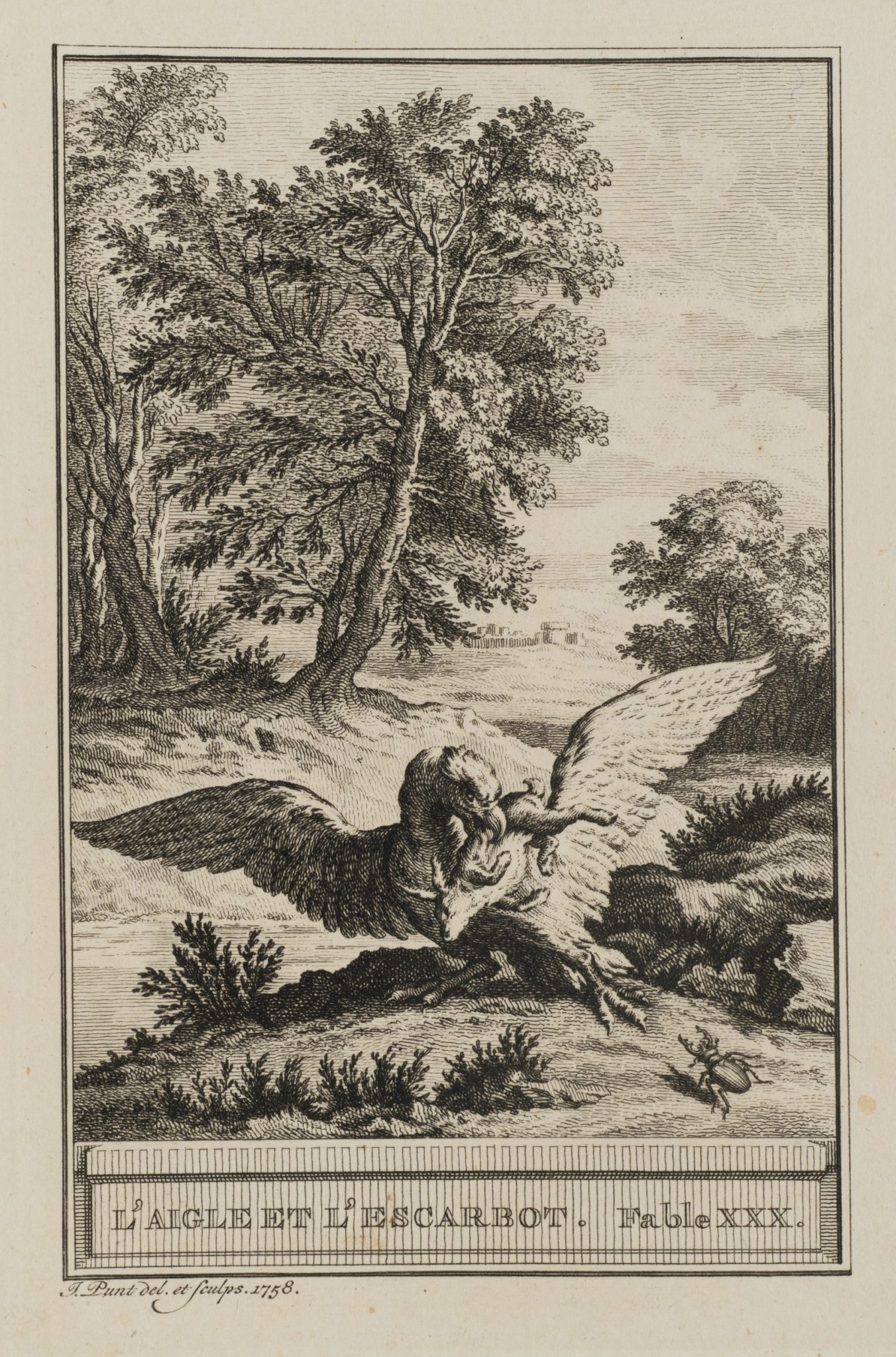 Adler und Käfer