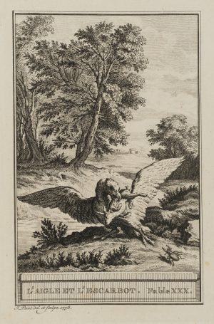 Adler und Käfer