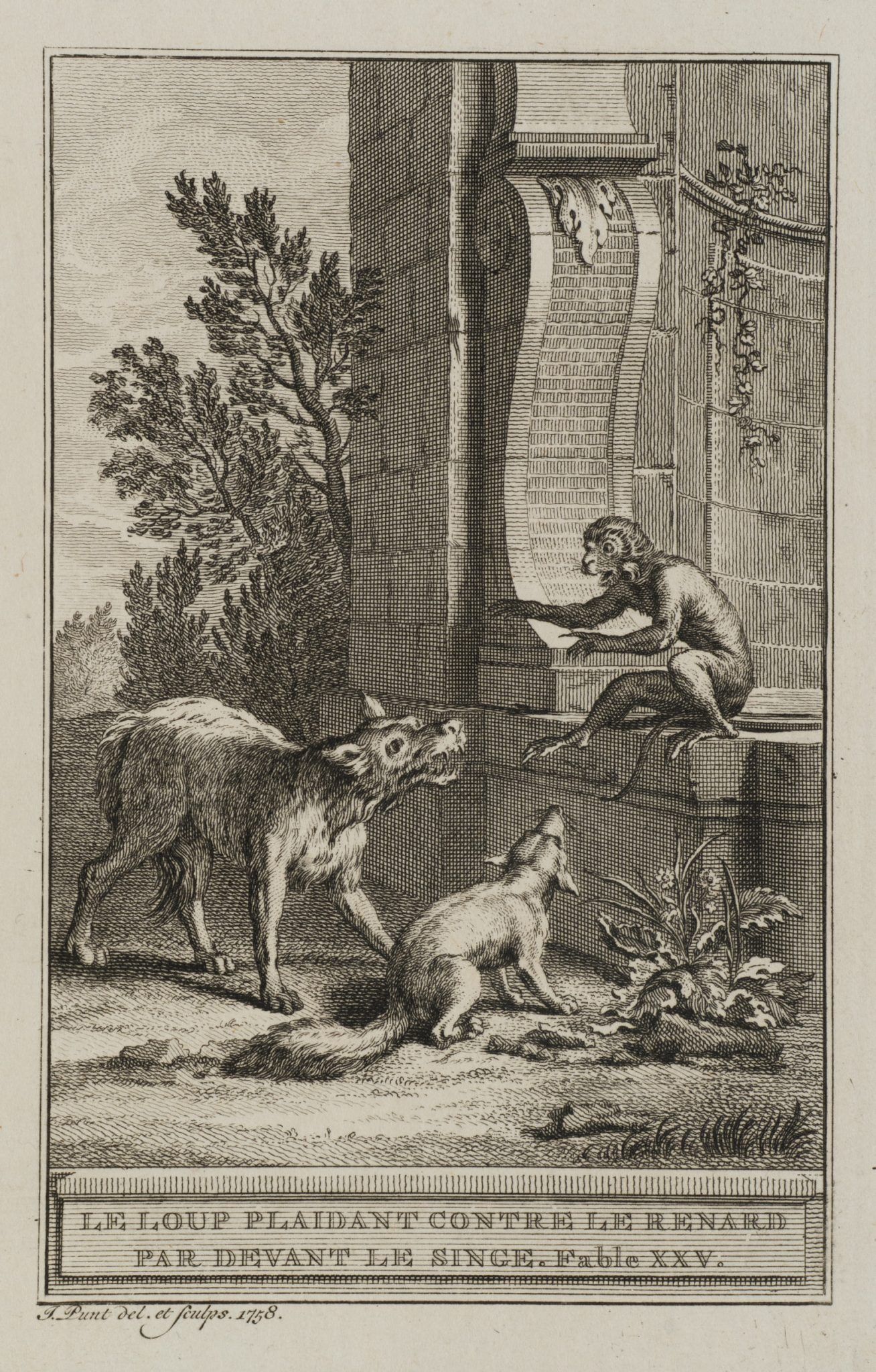Wolf, Fuchs und Affe