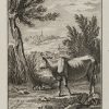 Ansicht 1