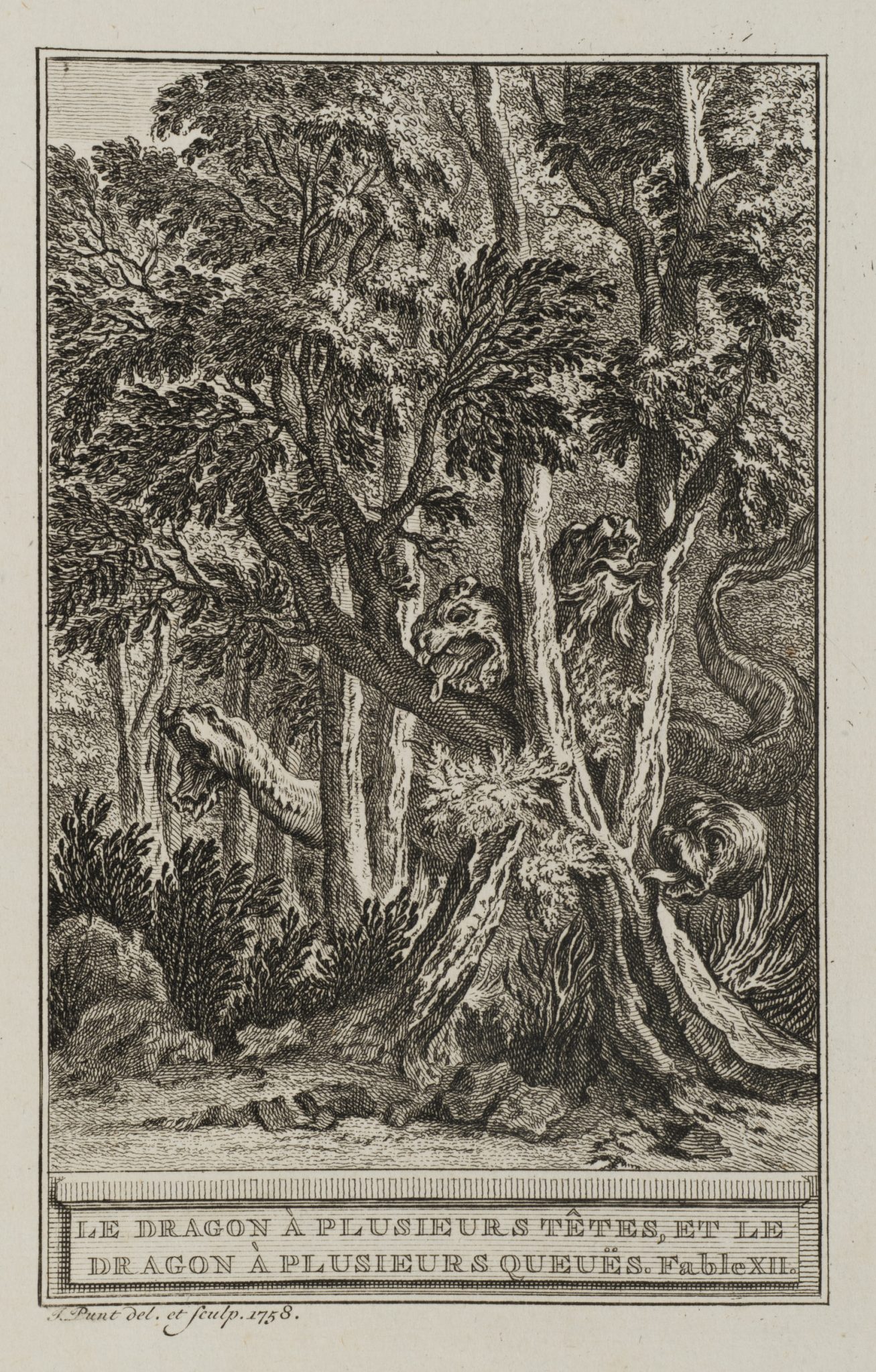 Drachen im Wald
