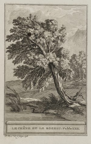 Die Eiche und das Schilfrohr