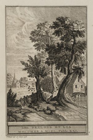 Die Hornissen und die Bienen